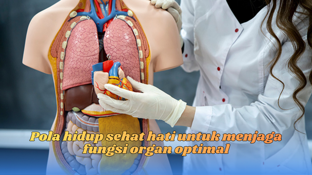 Pola hidup sehat hati