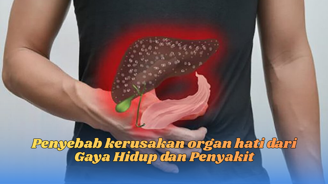 Penyebab Kerusakan Organ Hati